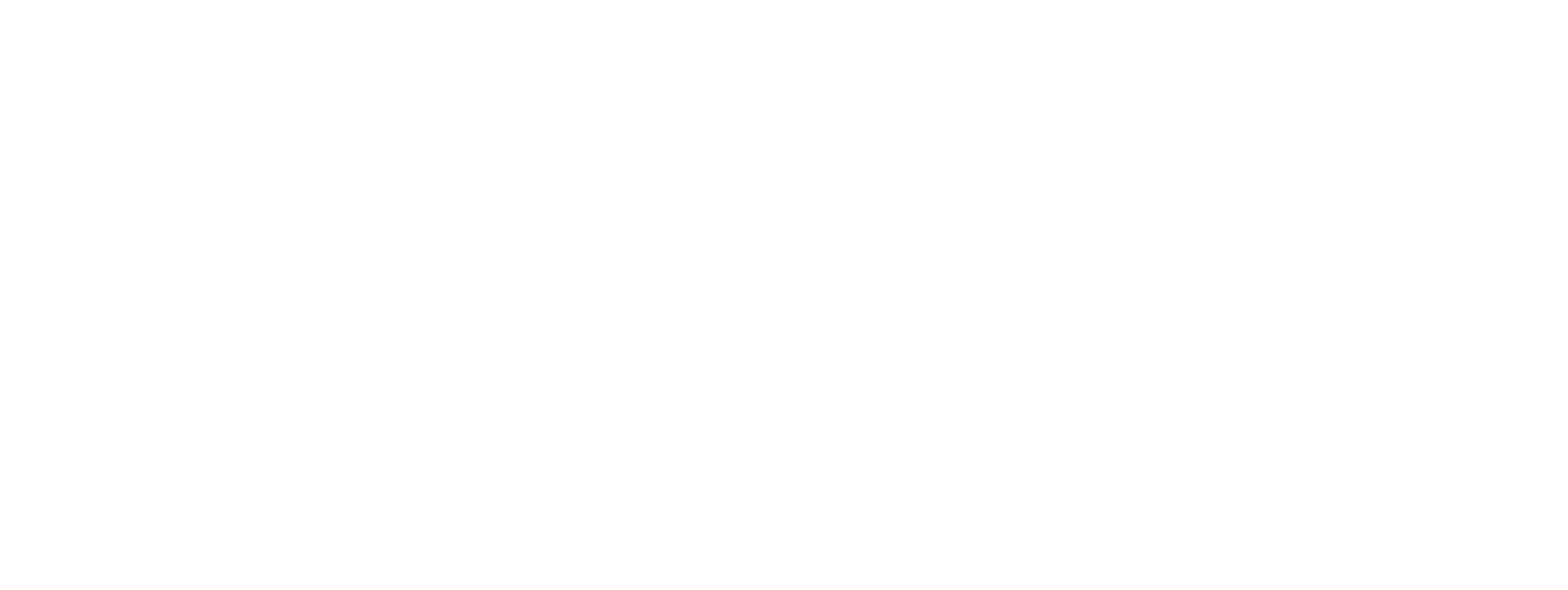Modern Wrestler